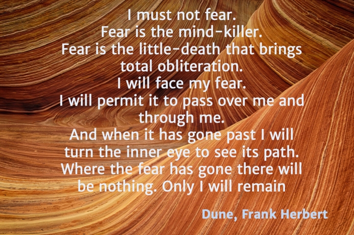I must not fear. Fear is the mind-killer. Fear is the little-death that brings total obliteration. I will face my fear. I will permit it to pass over me and through me. And when it has gone past I will turn the inner eye to see its path. Where the fear has gone there will be nothing. Only I will remain."